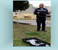 /album/ekthesi-fotografion/screenshot-23-08-2015-13-47-47-png/